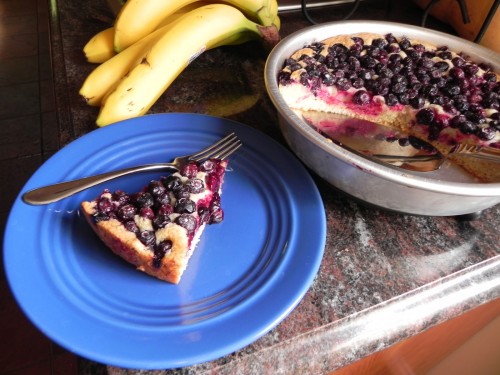 Easy Gluten-Free Blueberry Cake