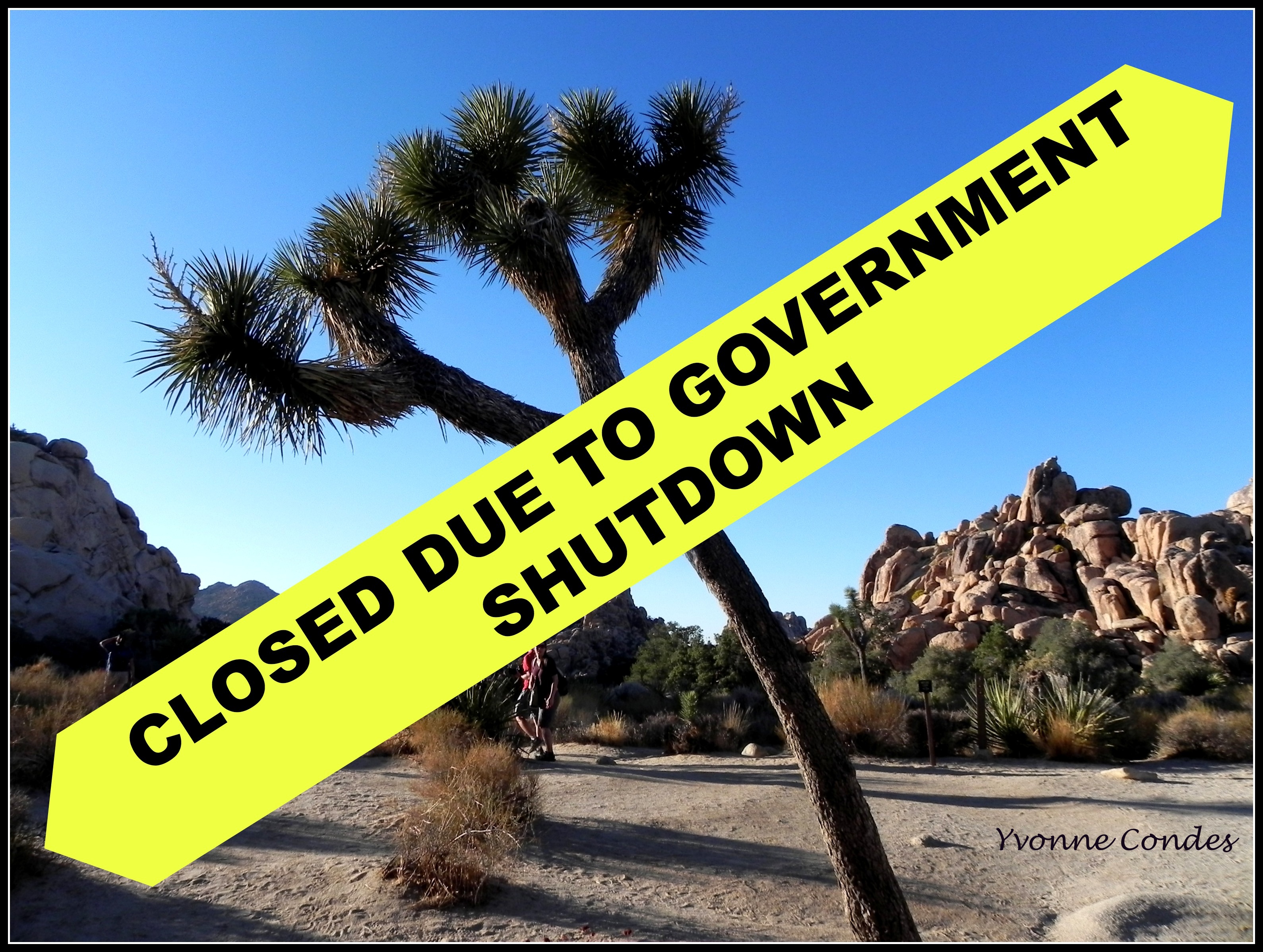 Joshua Tree Closed Due to Government Shutdown